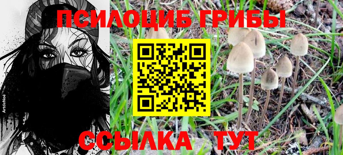 Псилоцибиновые грибы MAGIC MUSHROOMS  Галлюциногенные грибы Cubensis  Вход с VPN  Щёкино 