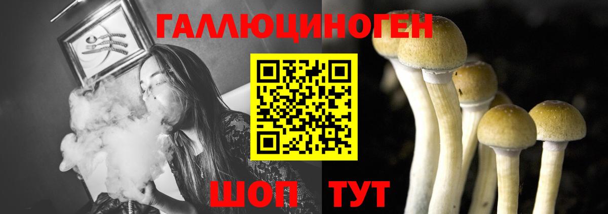 Псилоцибиновые грибы мицелий Щёкино